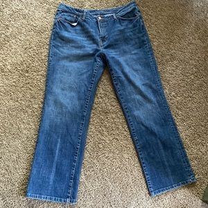 Plus Size Seven Jeans